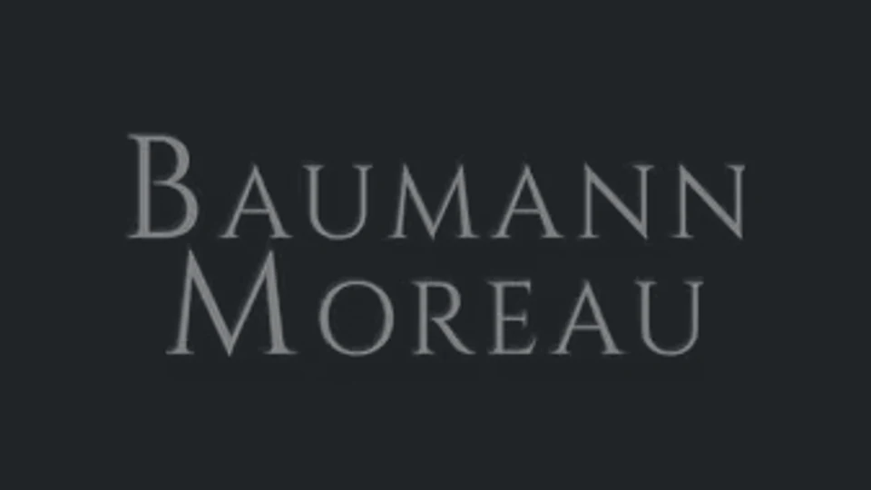 Mr. Paul A. Baumann, ASA appraiser or business image