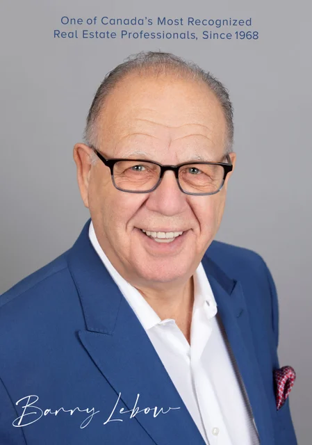 Mr. Barry A. Lebow, ASA, IFAS appraiser or business image