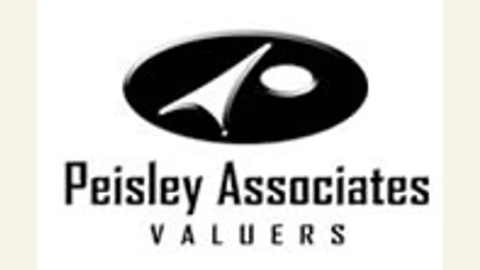 Mr. Stephen A. Peisley appraiser or business image