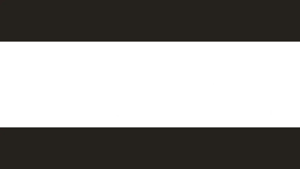 Scott Scholz appraiser or business image