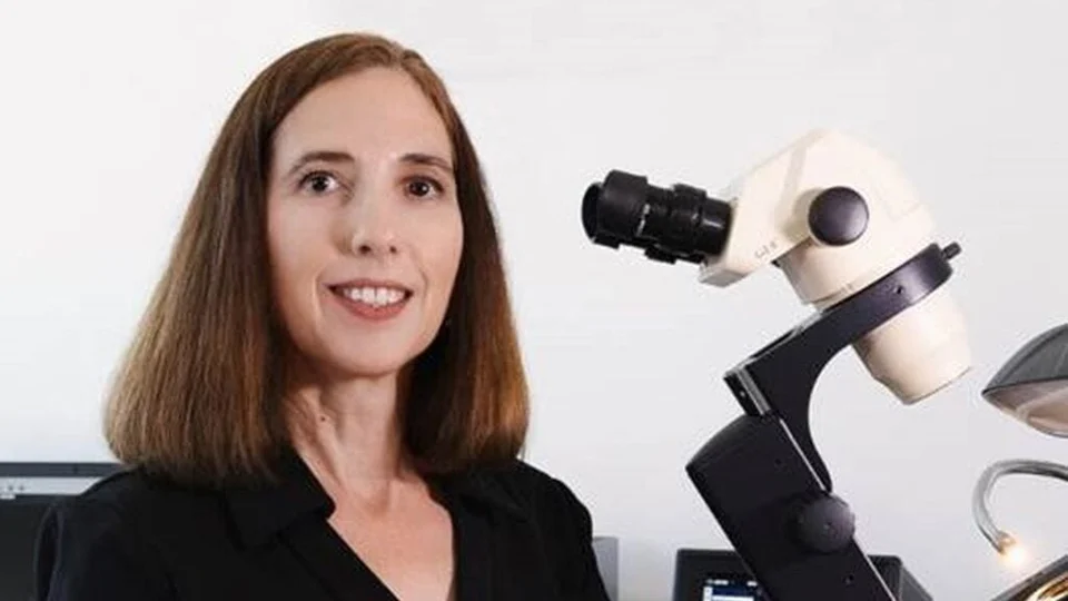 D'Onofrio, Gina appraiser or business image
