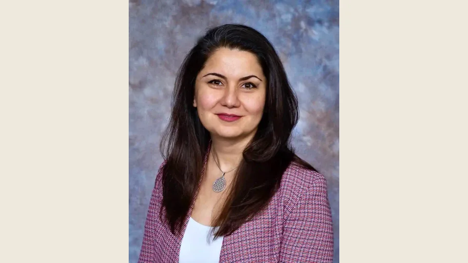Lule, Cigdem appraiser or business image