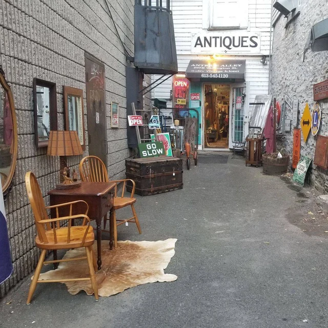 Antique Alley appraiser or business image
