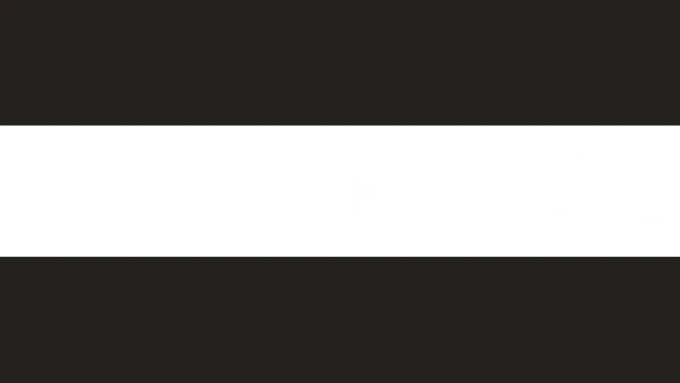 Mimesis Gallery appraiser or business image
